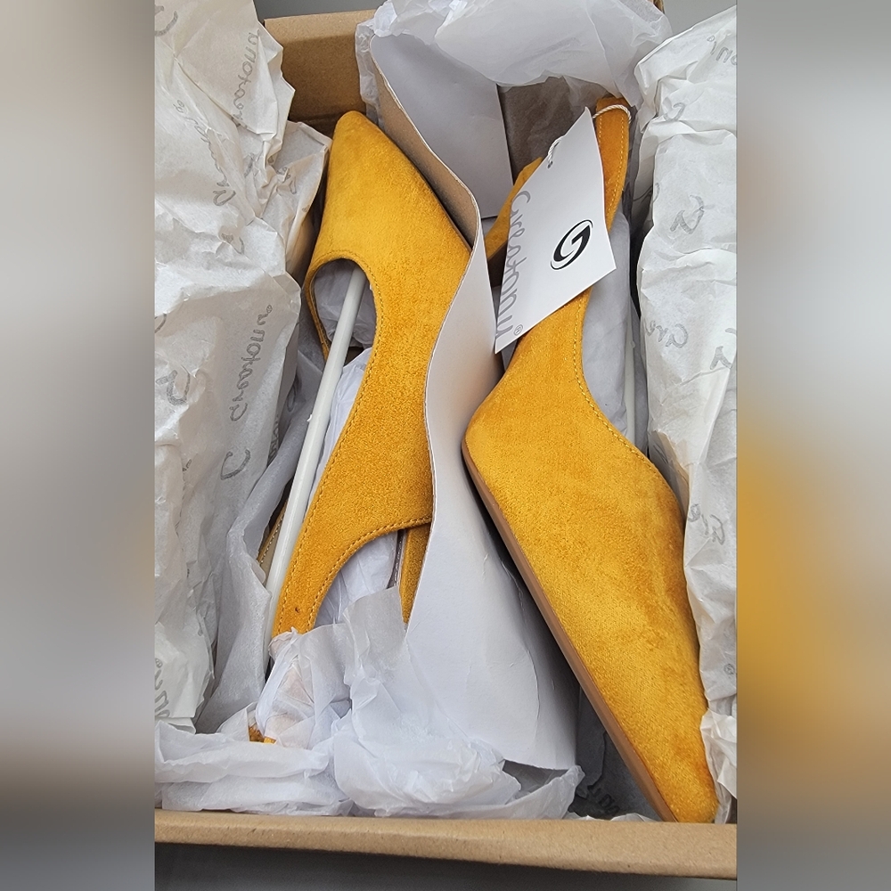 Women’s Low Heel Pumps Closed Pointed Toe Kitten Heels for Wedding Party, 6.5